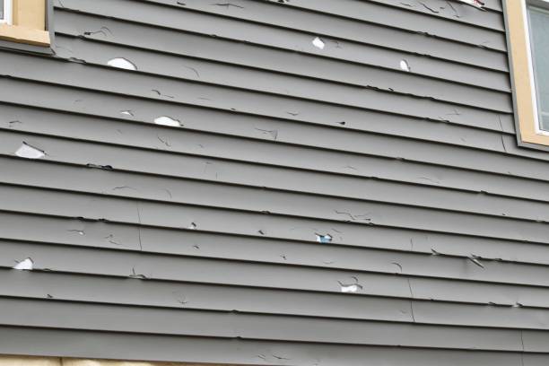 Best Steel Siding Installation  in Arapahoe, WY