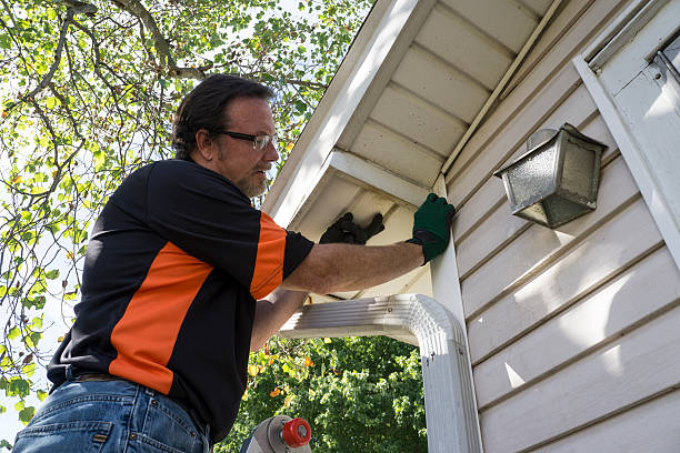 Best Insulated Siding Installation  in Arapahoe, WY